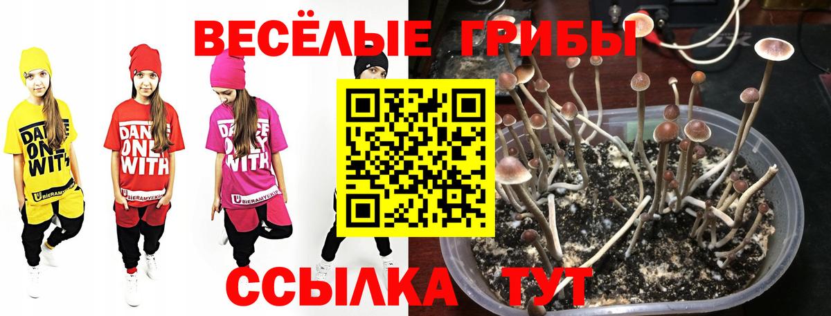 Псилоцибиновые грибы мухоморы  Галлюциногенные грибы Psilocybine cubensis  Вход с VPN  Норильск 