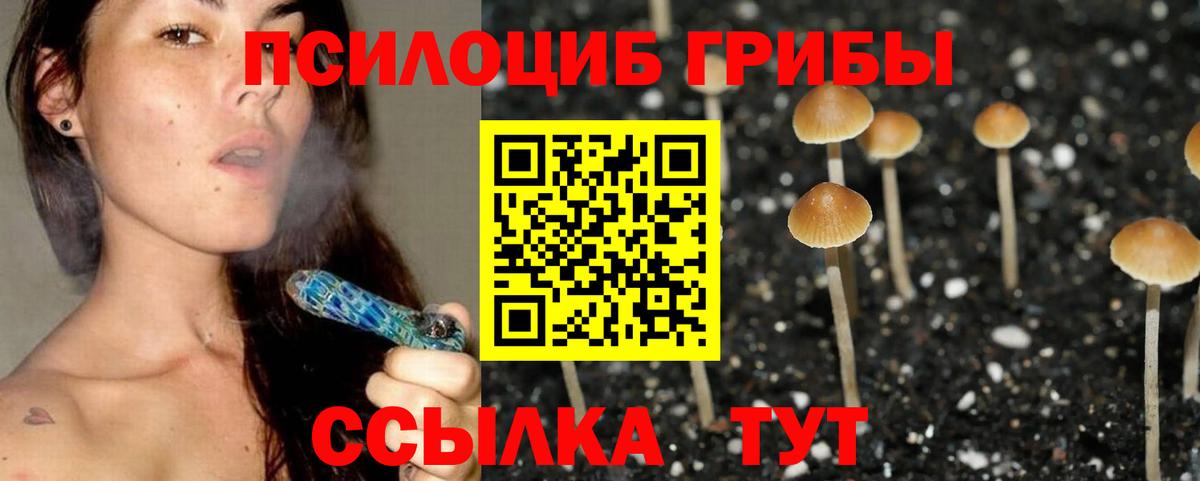 Псилоцибиновые грибы GOLDEN TEACHER Норильск